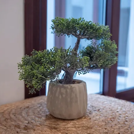 דירה Capuchinos *