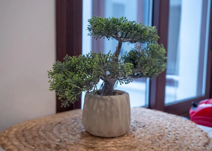 דירה Capuchinos *